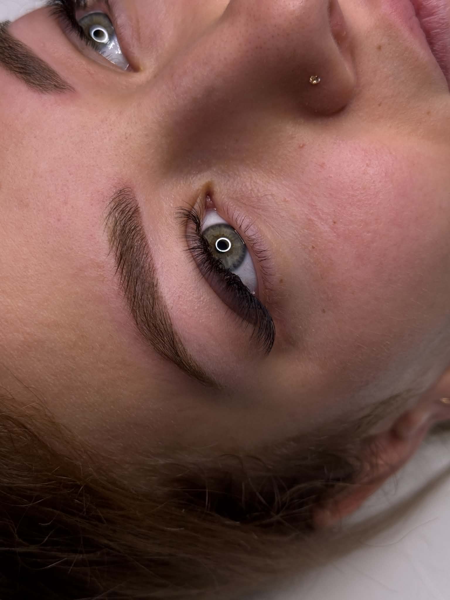 Defined laminated brows