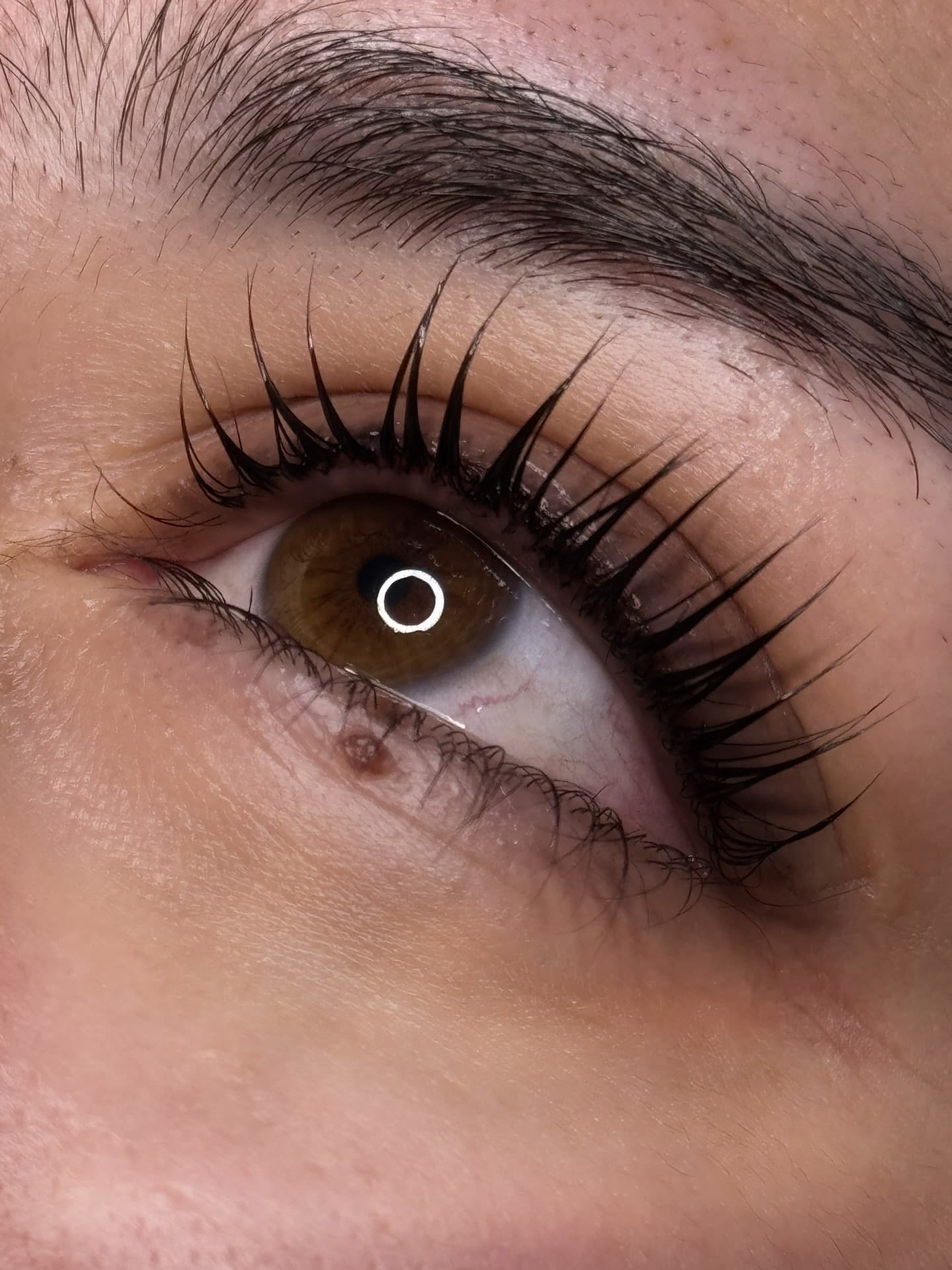 Lash Lift at Anastasia Danitoiu Beauty